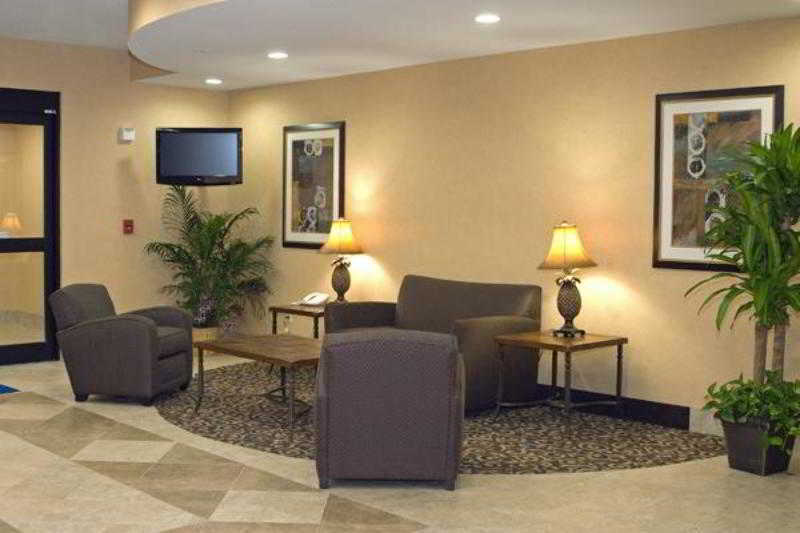 Best Western Bastrop Pines Inn מראה חיצוני תמונה